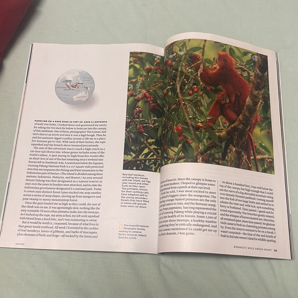 National Geographic Magazine February 2024 The Glass Age - Picture 14 of 15